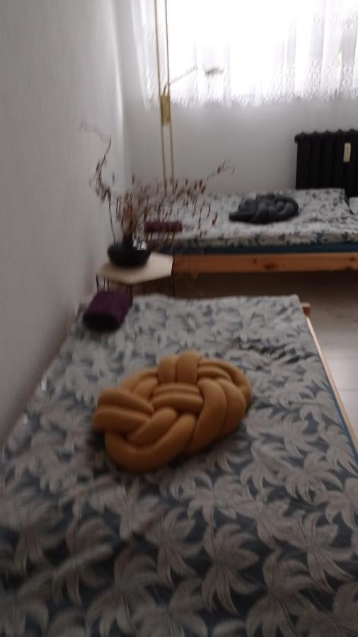 Ferienwohnung Babcares Apa Gory Izerskie Mirsk Exterior foto